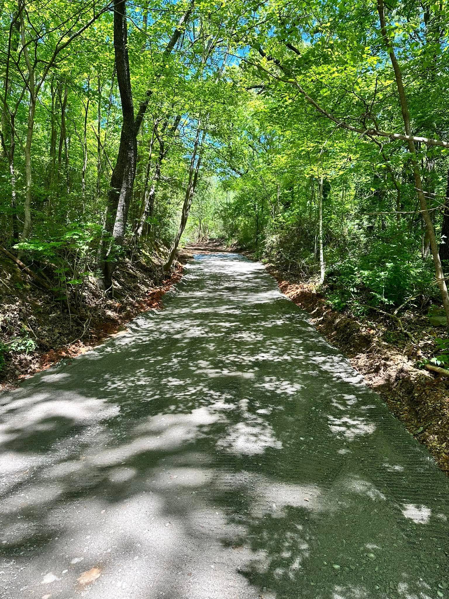 New gravel driveway winding through a wooded lot after grading and drainage work