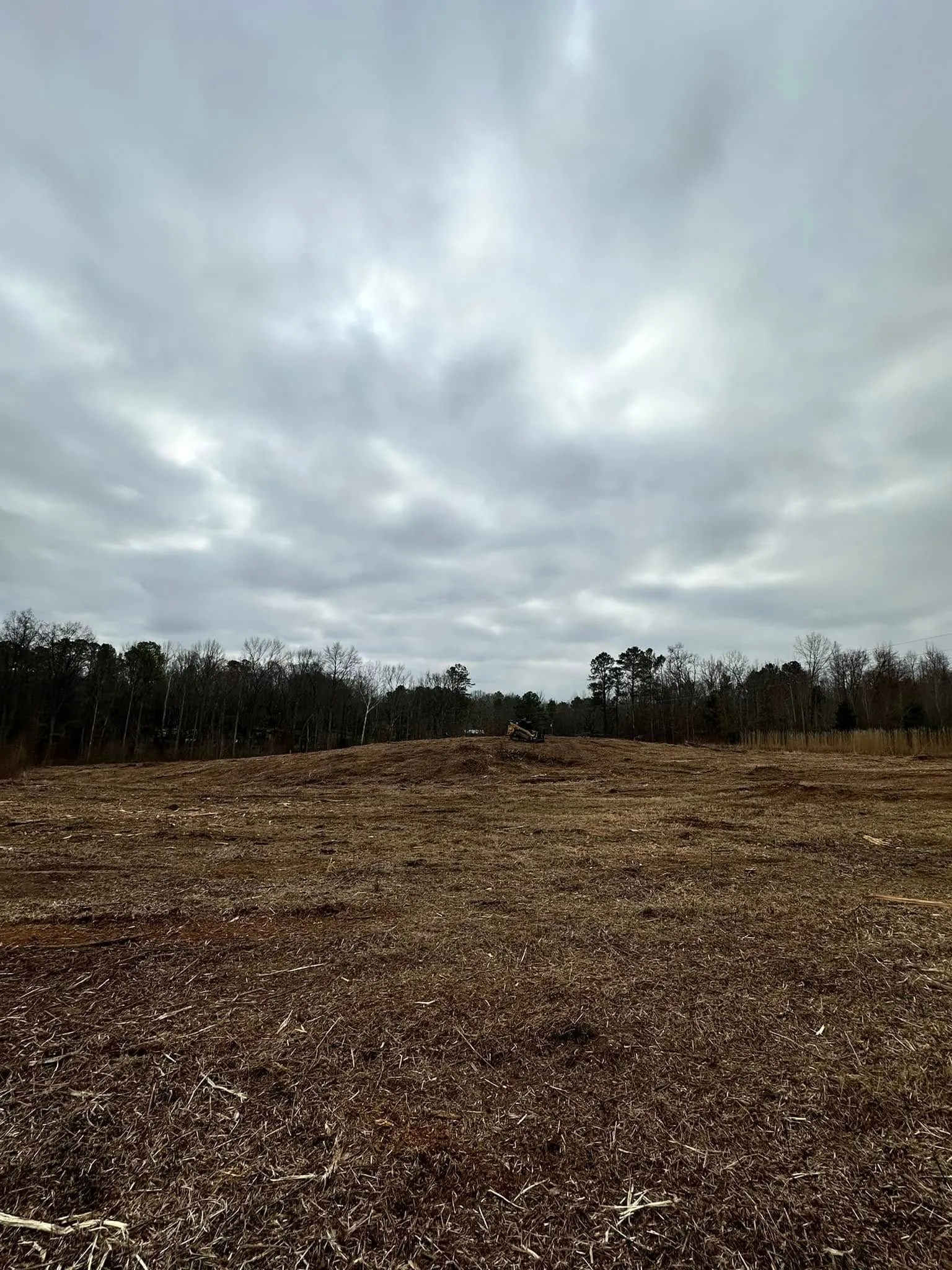 Brown field under cloudy sky with treeline in the distance.