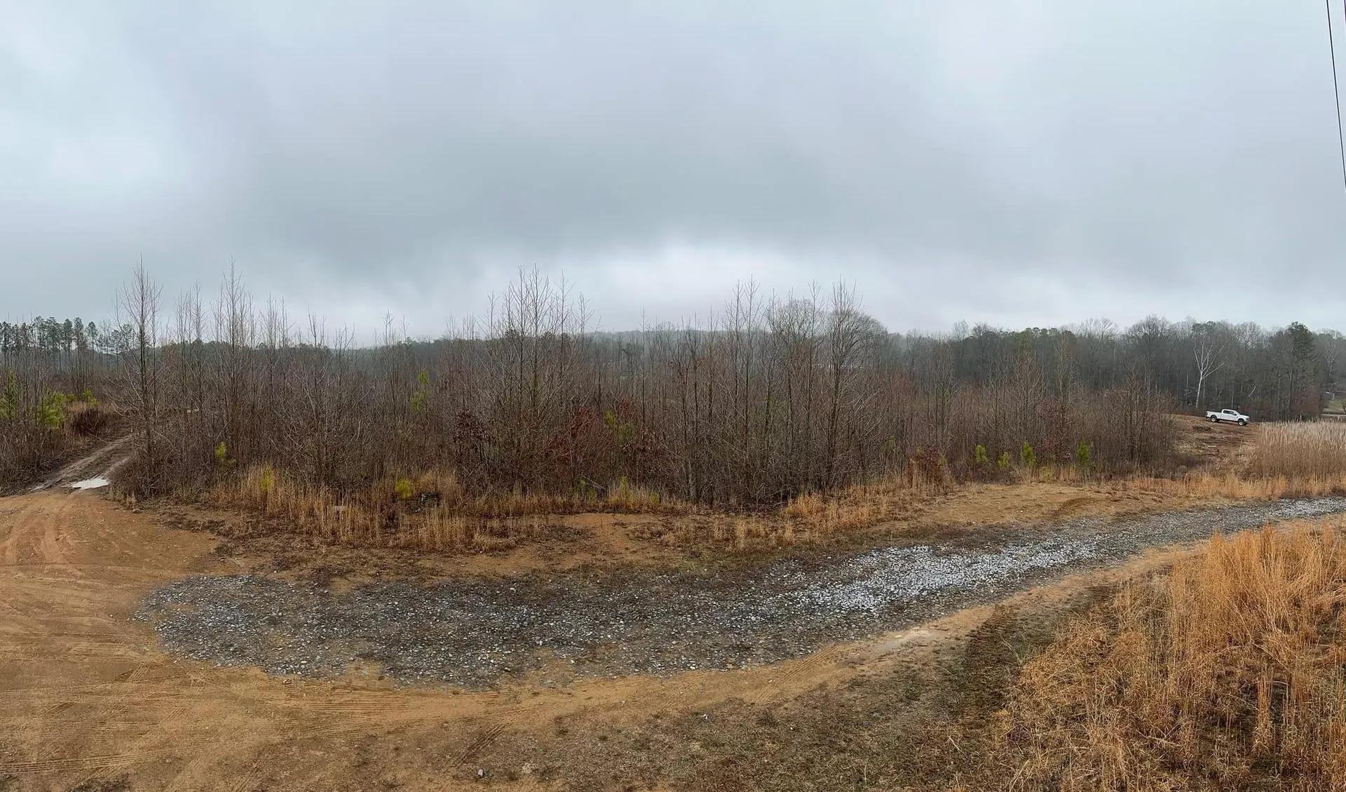 Overcast day in a field with bare trees, patches of gravel, and brown, dry vegetation.