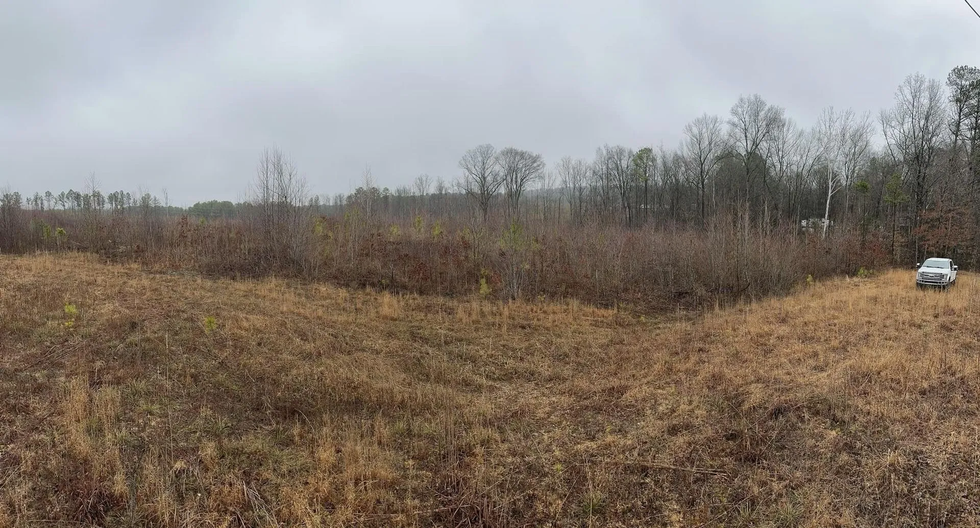A field of dry grass and brush under an overcast sky. Trees line the background. A vehicle is parked in the distance.