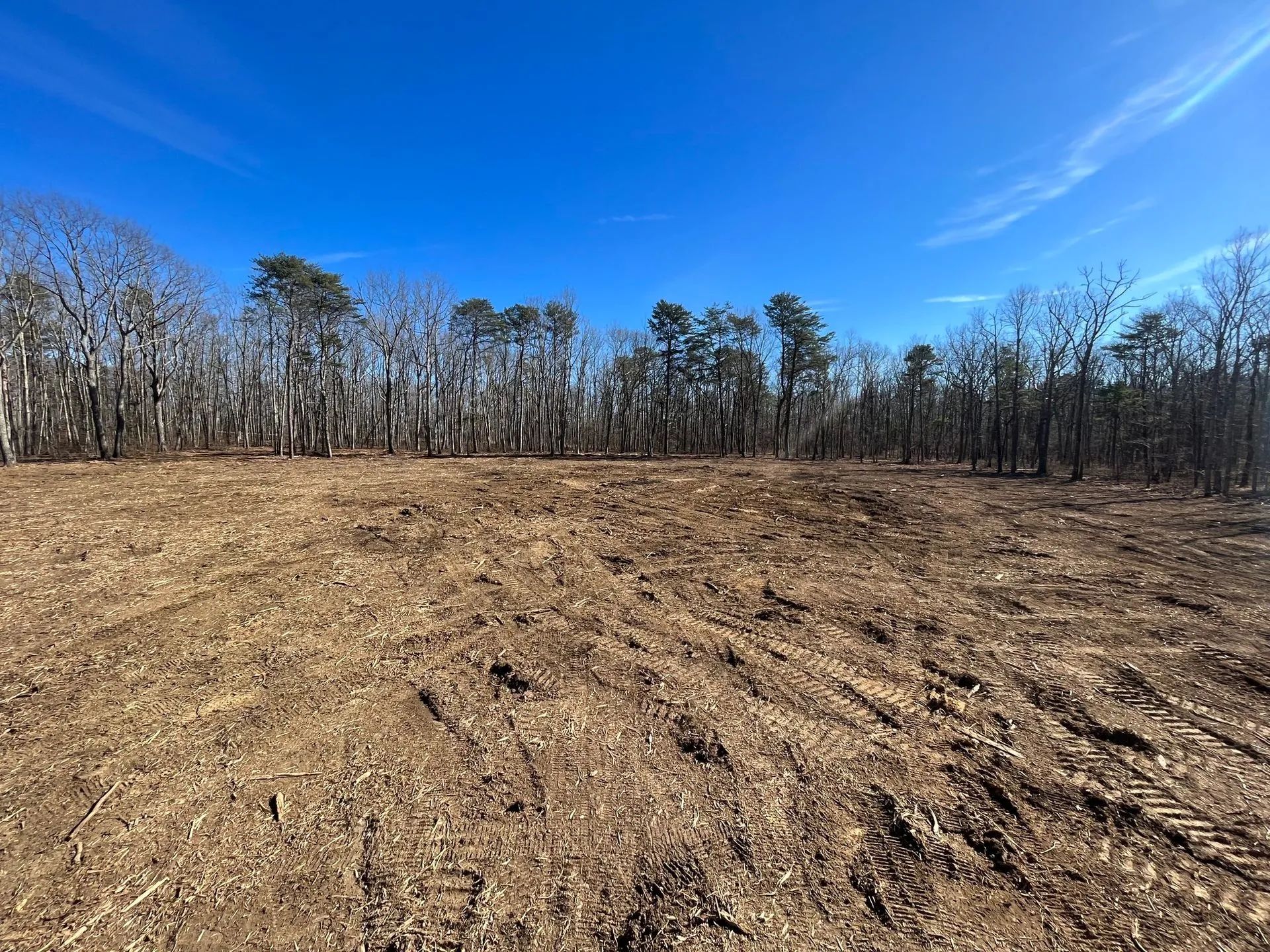 Cleared land with visible tire tracks, surrounded by a line of bare trees under a bright blue sky.