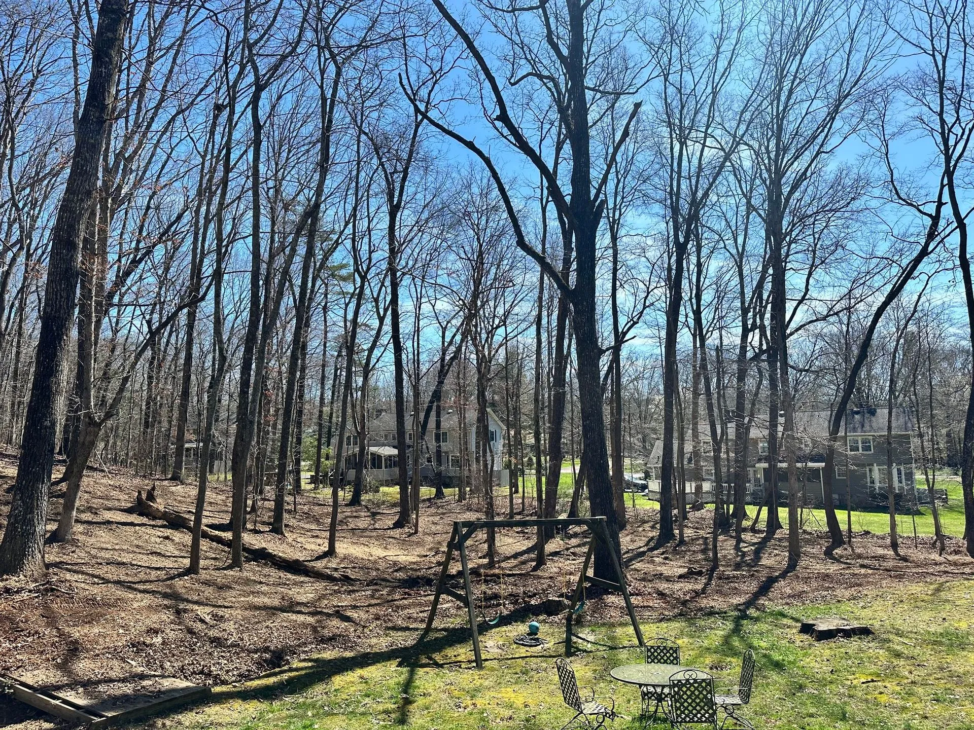 Bare trees in a wooded area with swing set, green grass and a house in the distance under a blue sky.
