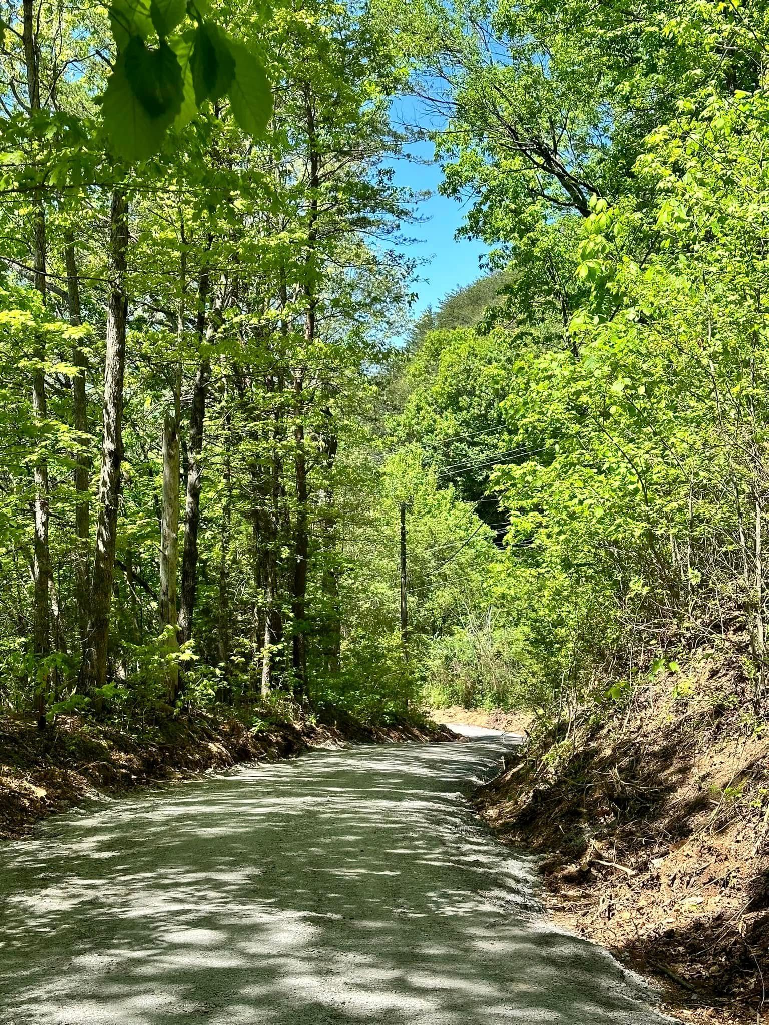 Gravel path winding through a sunlit forest. Green trees line both sides with a glimpse of blue sky.