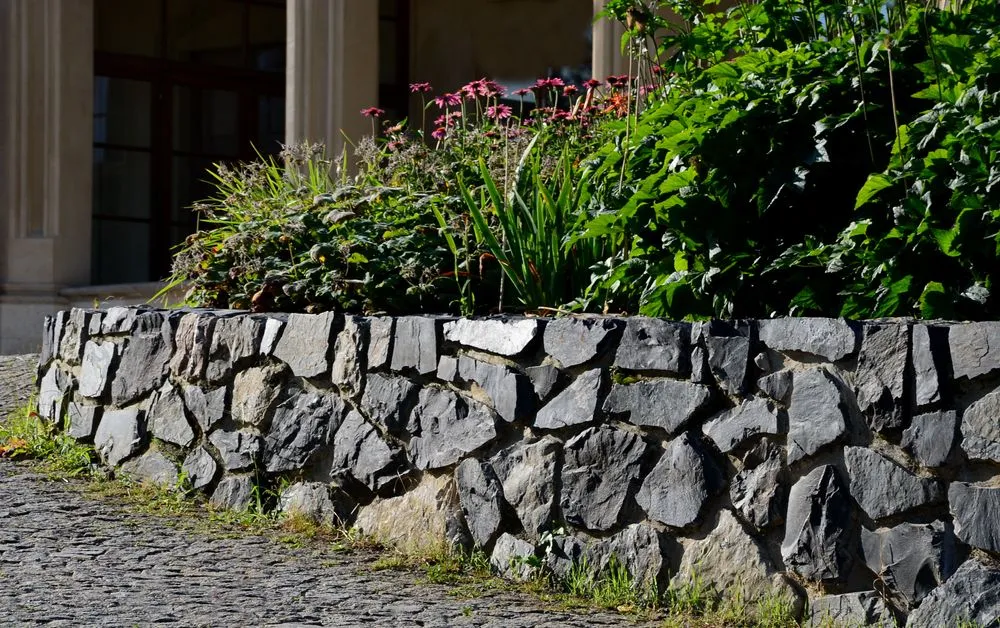 Natural stone retaining wall holding a raised flower bed beside a cobblestone path